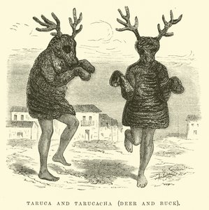 Taruca和Tarucacha，鹿和巴克 作者 爱德华·里奥（Edouard Riou）